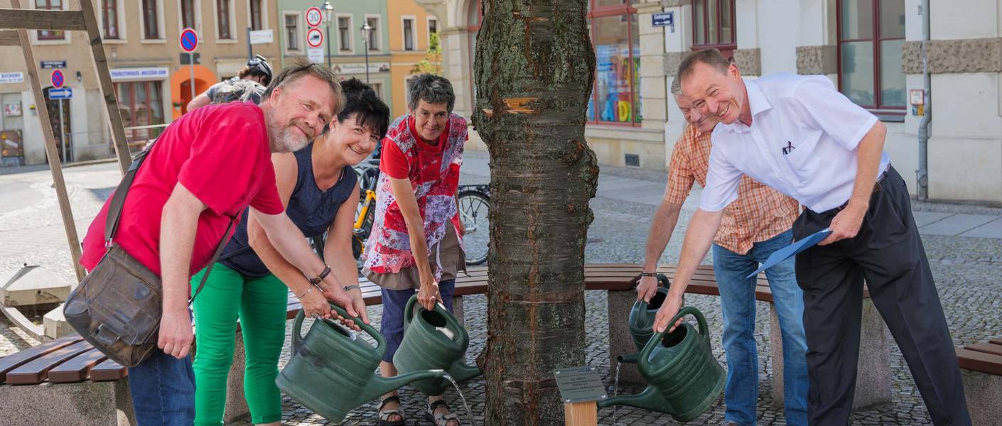 Mitglieder des Städtepartnerschaftsvereins gießen IHREN Baum an