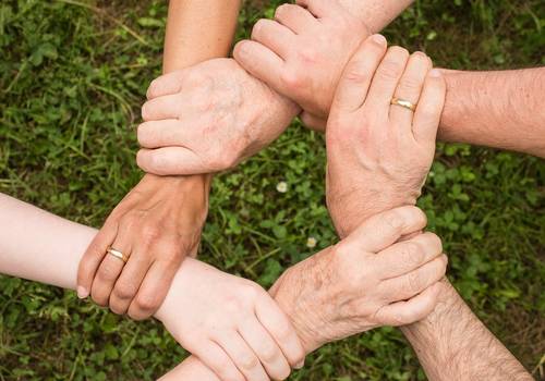 ineinander greifende Hände vor grüner Wiese