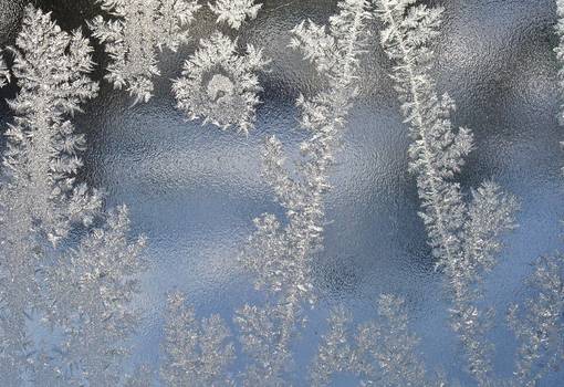 Eisblumen am Glas