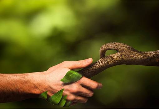 Arm und Baum geben sich die Hand vor grünem Hintergrund