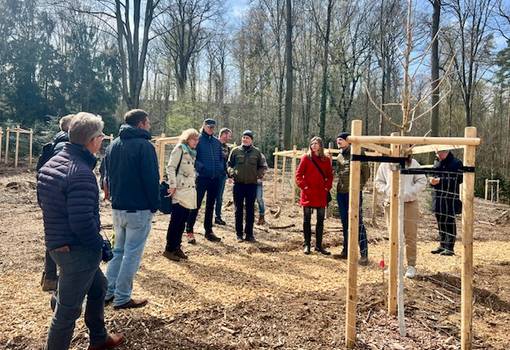 Menschen stehen nebeneinander auf braunem Waldboden vor grauen und grünen Bäumen und blauem Himmel