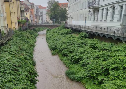 Triebisch in Meißen