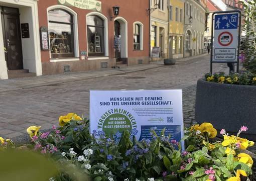 Pflanzkübel mit Vergissmeinnicht