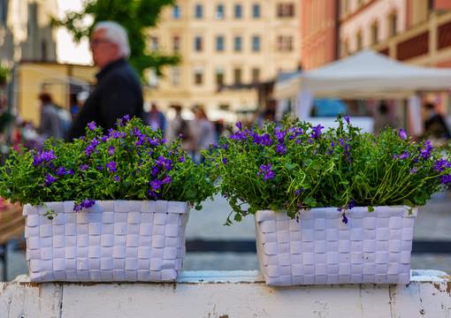 Blumen am Eingang zum Grünmarkt