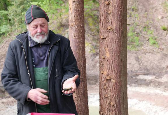 Holger Wrzesinsky mit Feuersalamander