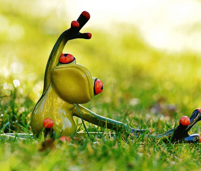 frog 1109792 1280